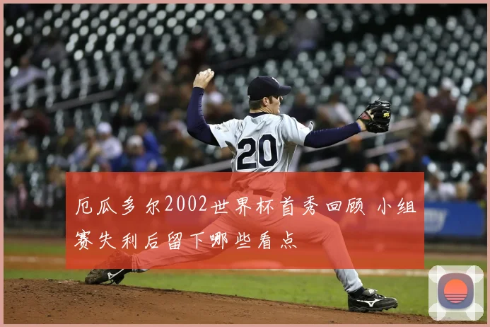 厄瓜多尔2002世界杯首秀回顾 小组赛失利后留下哪些看点