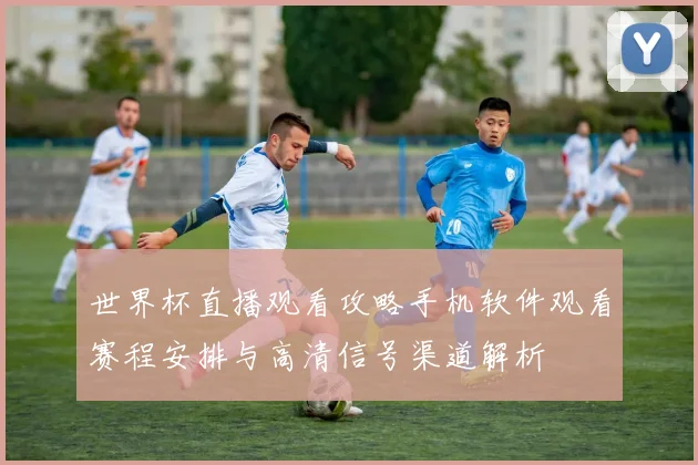 世界杯直播观看攻略手机软件观看赛程安排与高清信号渠道解析