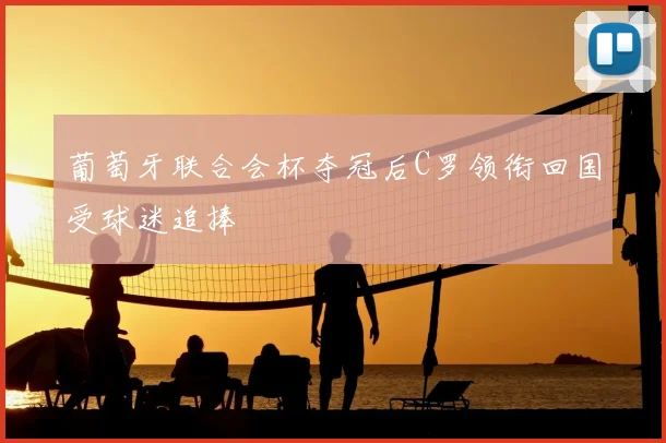 葡萄牙联合会杯夺冠后C罗领衔回国受球迷追捧